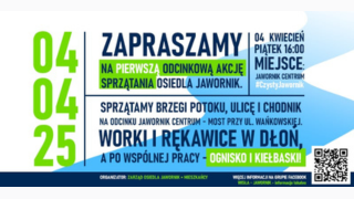 Czysty Jawornik