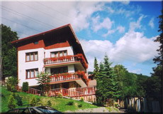 CZAJKA
