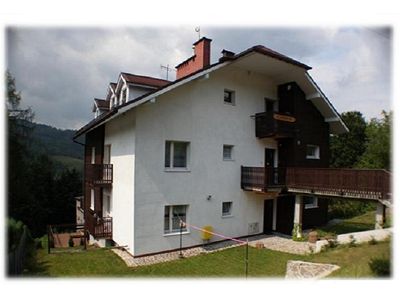Czarna Owca
