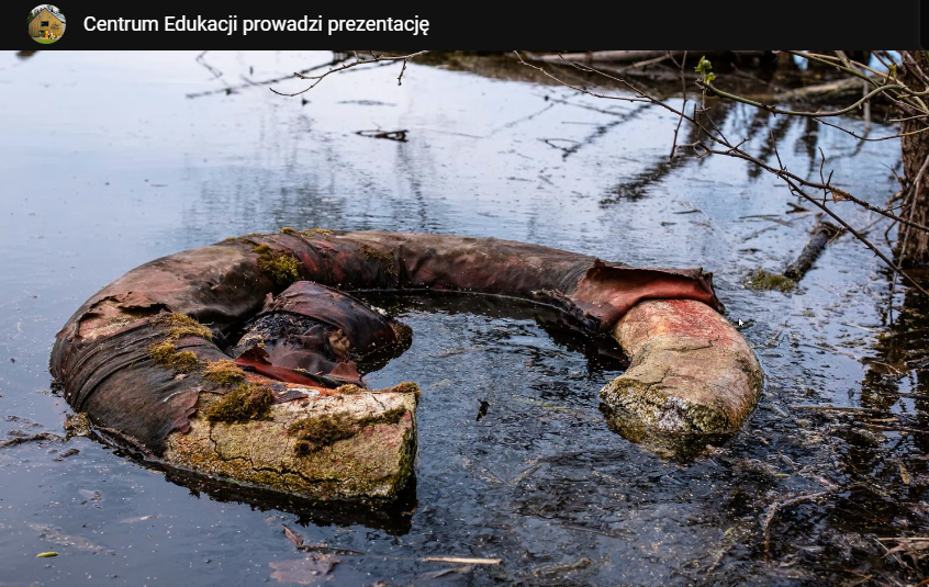 Prelekcja z okazji dnia ziemi