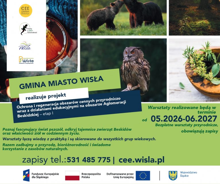 grafika